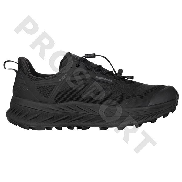 Lowa Fortux gtx UK6,5 black