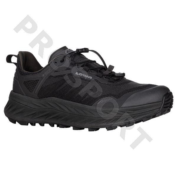 Lowa Fortux gtx UK6,5 black
